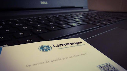 Limesys Solutions Informatiques Belley 01300