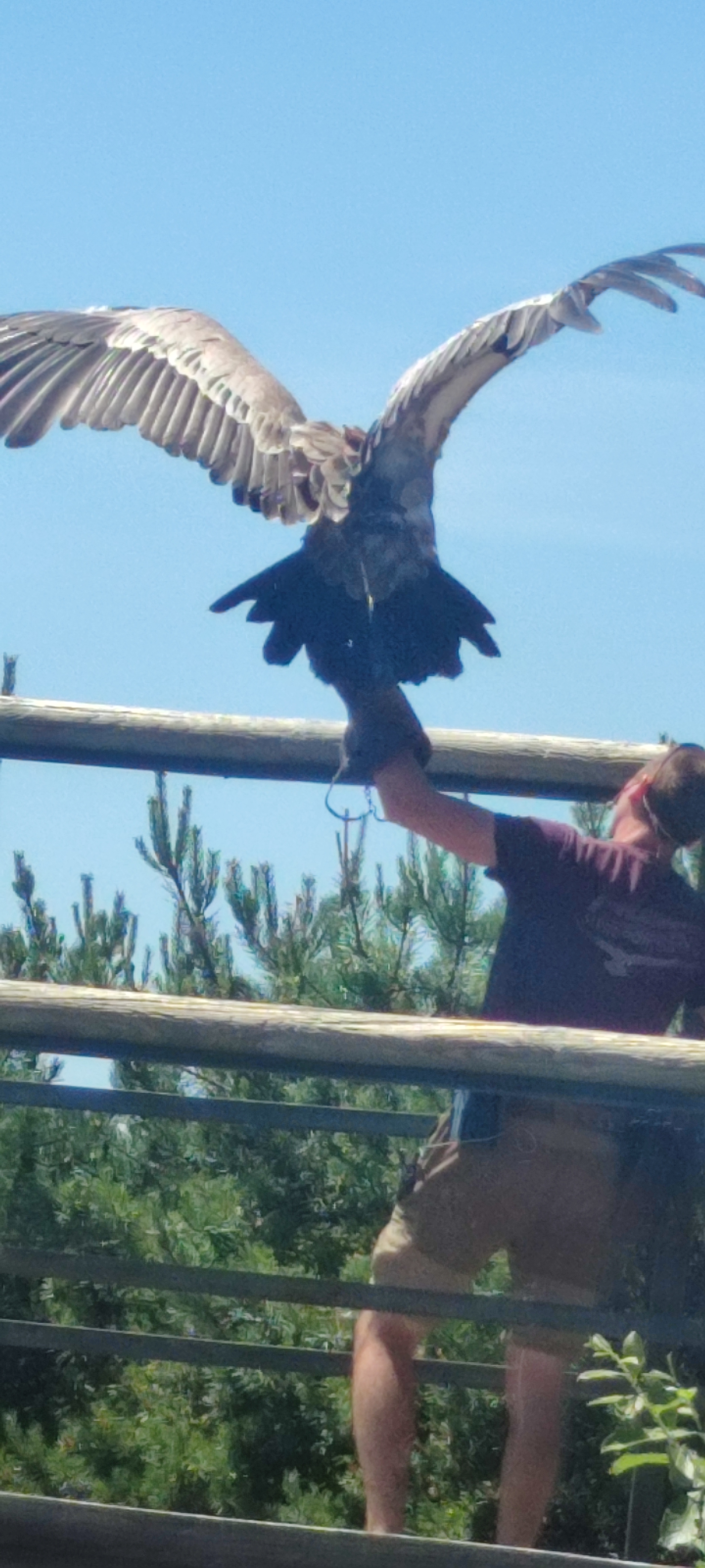 Photo n° 3 de l'avis de BERNARD.O fait le 25/06/2022 à 20:46