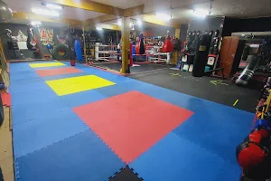 Team Minotauro's kick boxing-Boxeo image