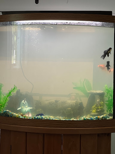 Pet Supply Store «PetSmart», reviews and photos, 1110 NY-112, Port Jefferson Station, NY 11776, USA