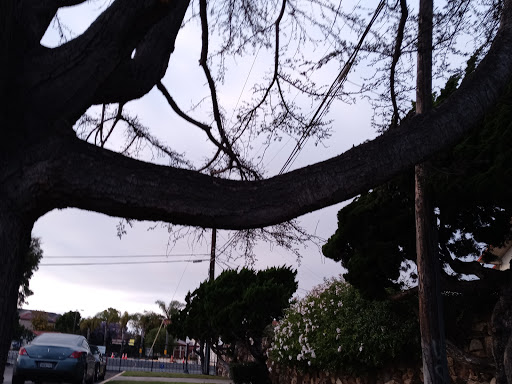 Tobacco Shop «1Stop Smoke Shop», reviews and photos, 3002 Barnett Ave #2, San Diego, CA 92110, USA