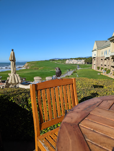 Lounge «The Ocean Terrace», reviews and photos, 1 Miramontes Point Rd, Half Moon Bay, CA 94019, USA