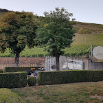 Photo n°10 de l'avis de Angelika.a fait le 21/09/2019 à 05:02 sur le  Weingut Annenhof à Bingen