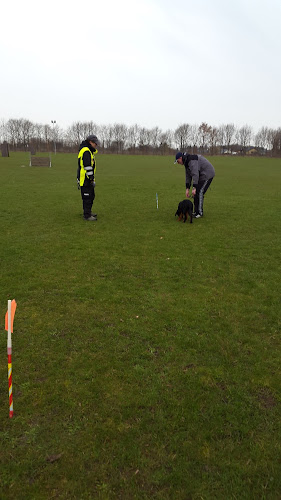 Anmeldelser af Torslunde-Ishøj Rottweilerklub i København - Hundetræner