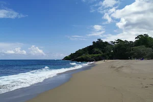 Laguna beach image