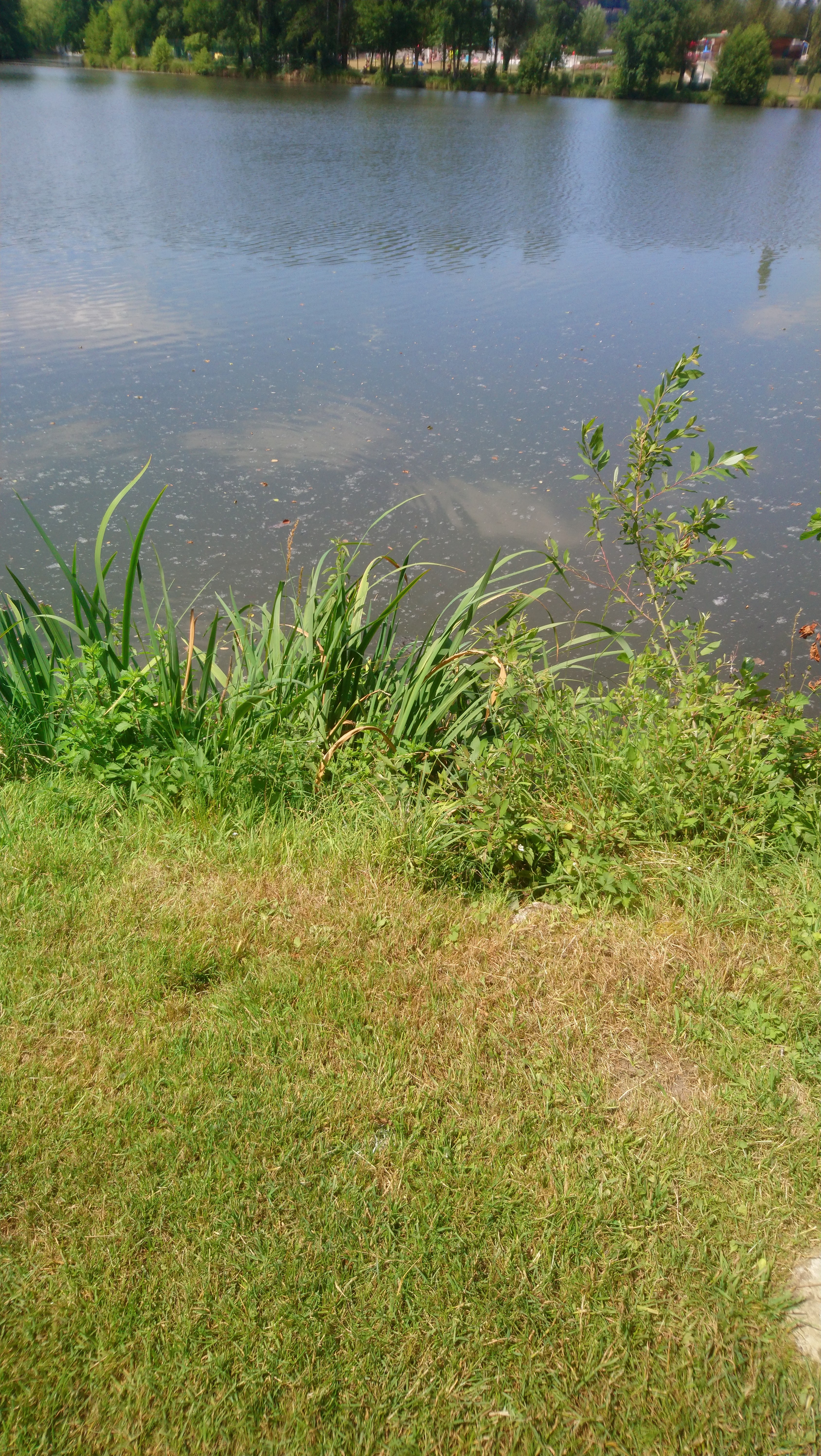Photo n° 29 de l'avis de Lucien.e fait le 08/07/2019 à 10:52