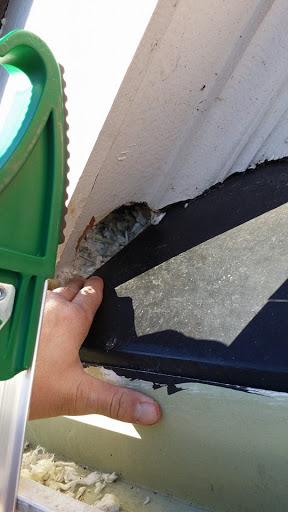 Animal Control Service «Xceptional Wildlife Removal», reviews and photos