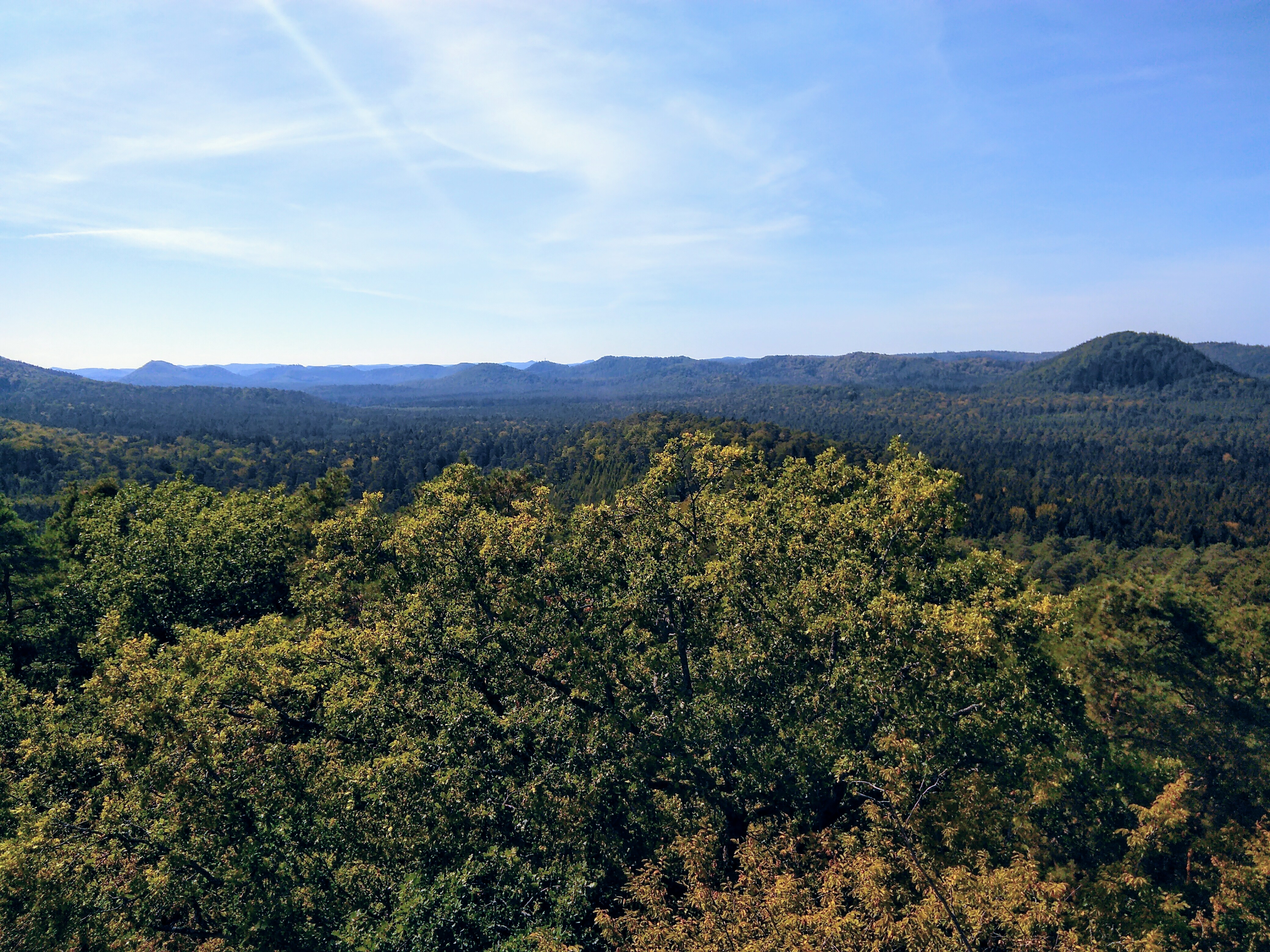 Photo n° 2 de l'avis de Michibici. fait le 19/09/2018 à 16:17