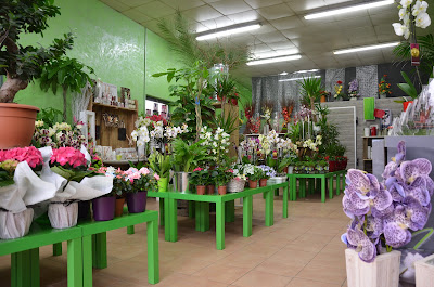 Vert Tige Fleuriste Bagnols à Bagnols-sur-Cèze