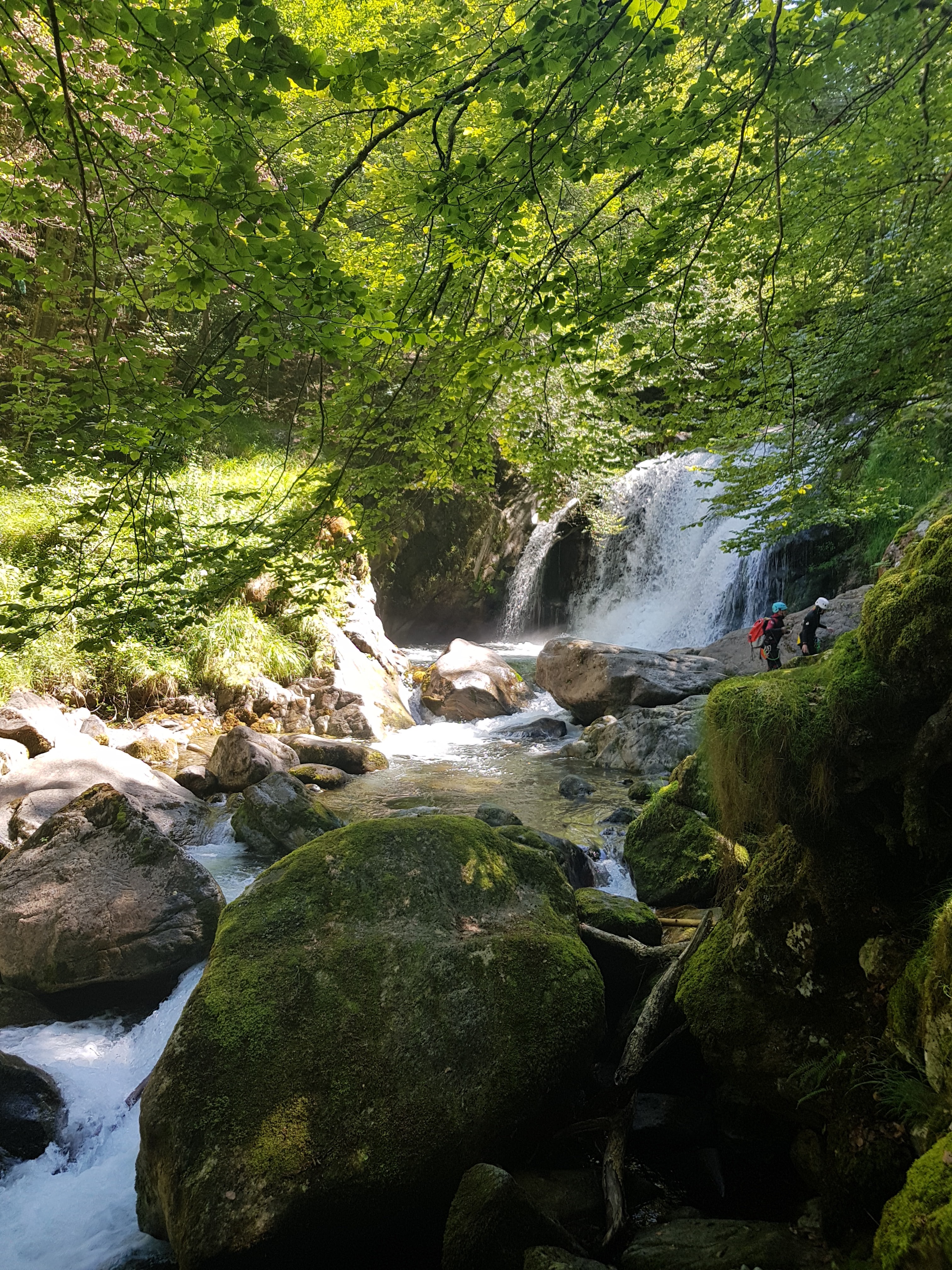 Photo n° 2 de l'avis de Natacha.e fait le 09/08/2023 à 06:35