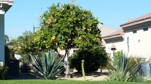 Golf Club «Heritage Palms Golf Club», reviews and photos, 44291 S Heritage Palms Dr, Indio, CA 92201, USA