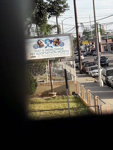 Ice Cream Shop «Boston Cream Doughnut», reviews and photos, 1009 W Anaheim St, Wilmington, CA 90744, USA