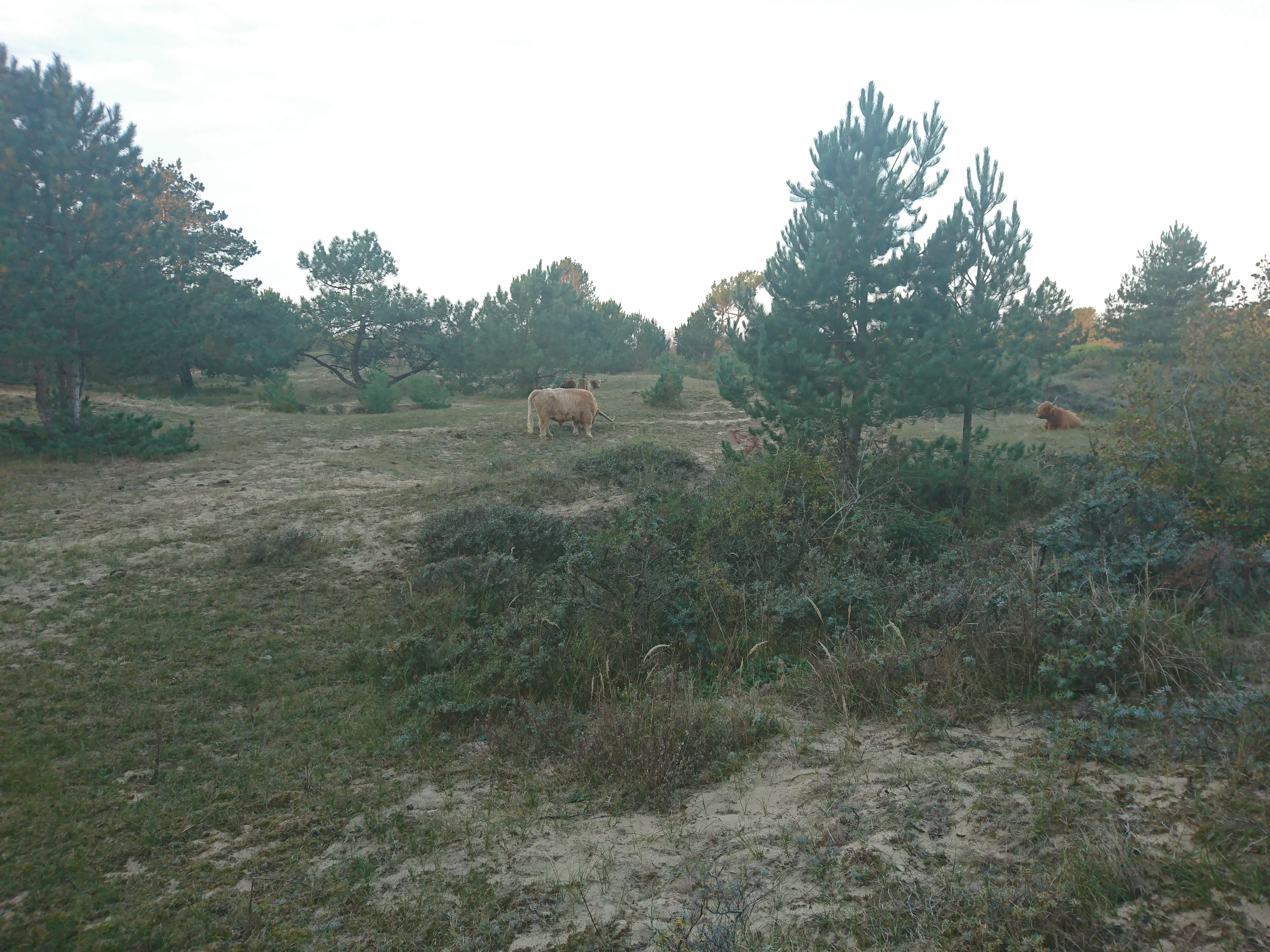 Photo n° 2 de l'avis de Severine.o fait le 11/12/2018 à 09:00