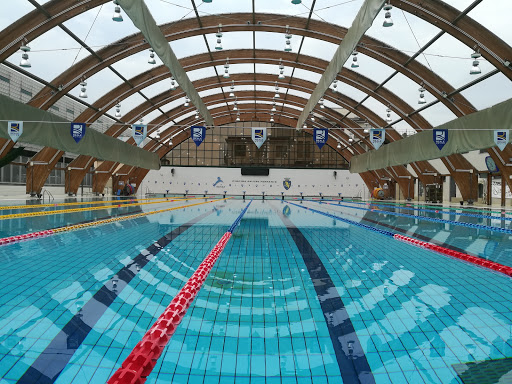 Adult swimming lessons Turin