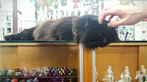 Tobacco Shop «Pure Virtue Glass», reviews and photos, 5481 Randolph Rd, Rockville, MD 20852, USA