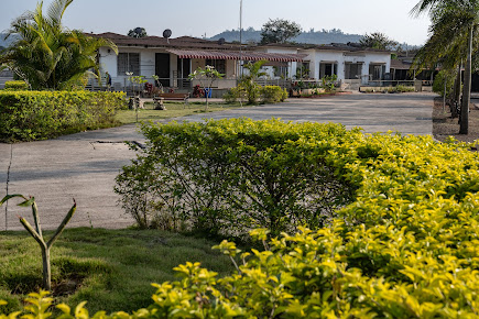 Google Maps image 20