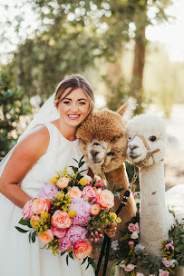 Southern Bash - Photo 3 - Car repair in , Plano