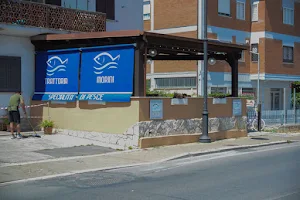 Trattoria Morini image