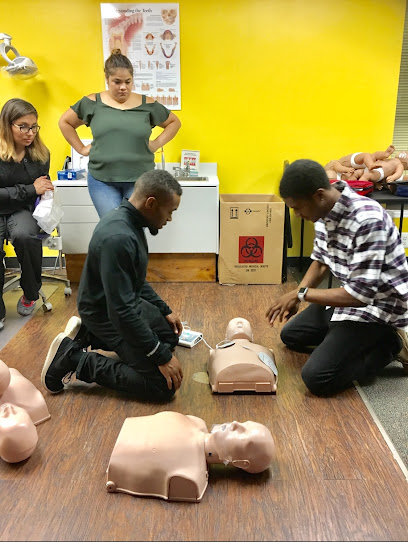Hands On CPR