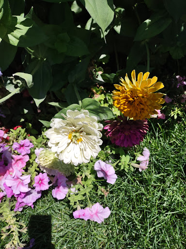 Shopping Mall «Sugar House Shopping Center», reviews and photos, 2274 S 1300 E, Salt Lake City, UT 84106, USA