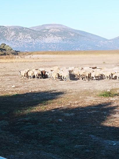 ΜΠΙΜΠΙΚΑ ΕΥΑΓΓΕΛΙΑ-ΚΤΗΝΙΑΤΡΟΣ