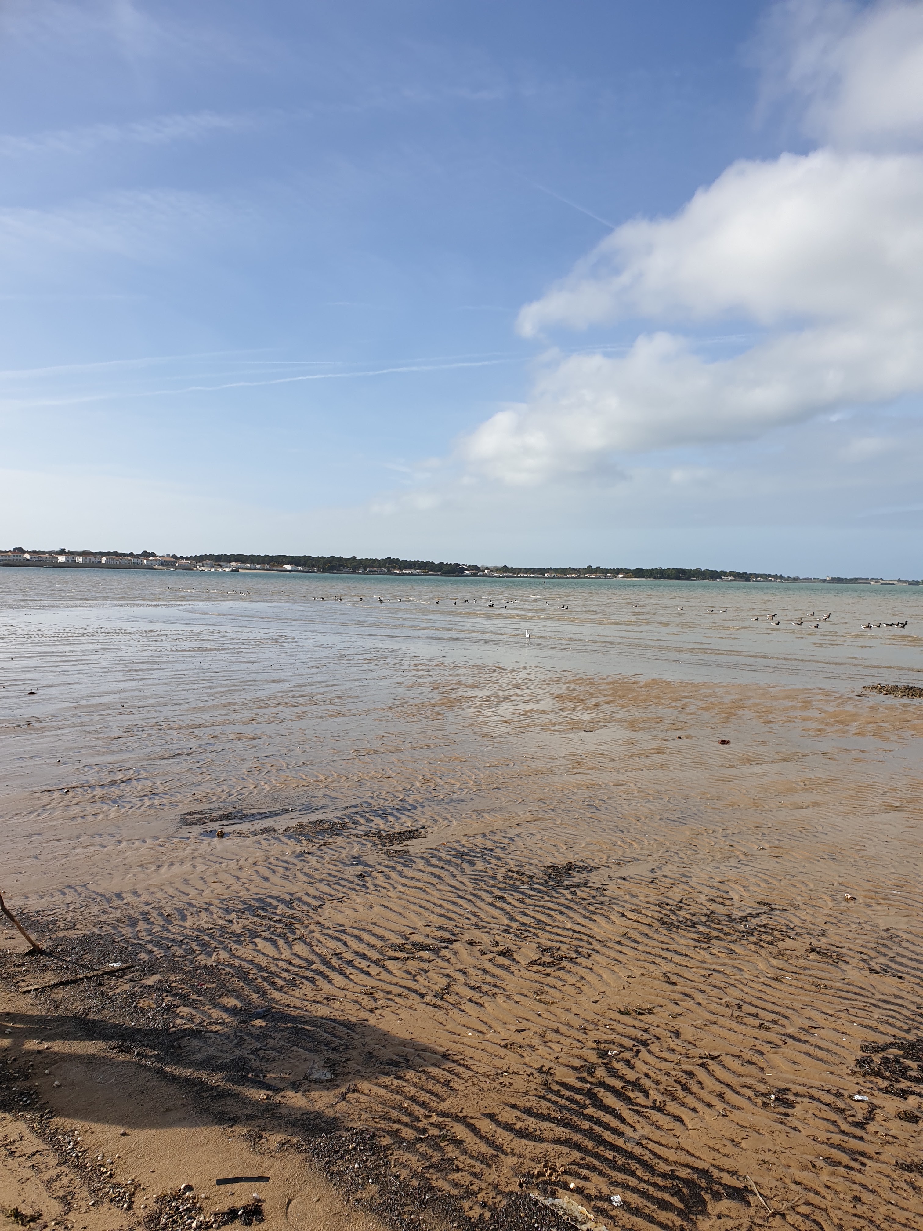 Photo n° 4 de l'avis de Laurence. fait le 03/03/2019 à 12:51
