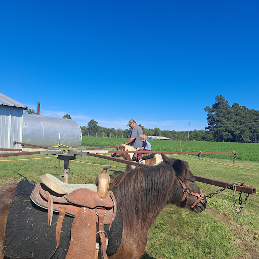 Farm «Bottom View Farm», reviews and photos, 185 Wilkerson Ln, Portland, TN 37148, USA