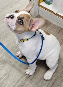 Uni-Pet Grooming Salon Inc