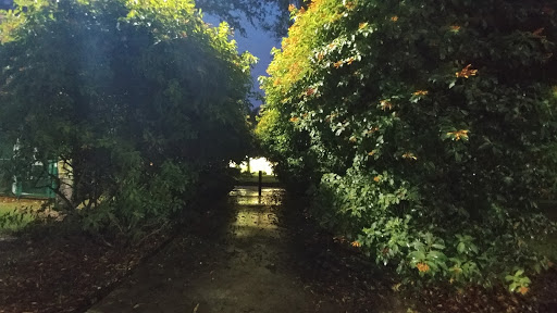 Park «Olympic Park», reviews and photos, 8601 SW 152nd Ave, Miami, FL 33193, USA