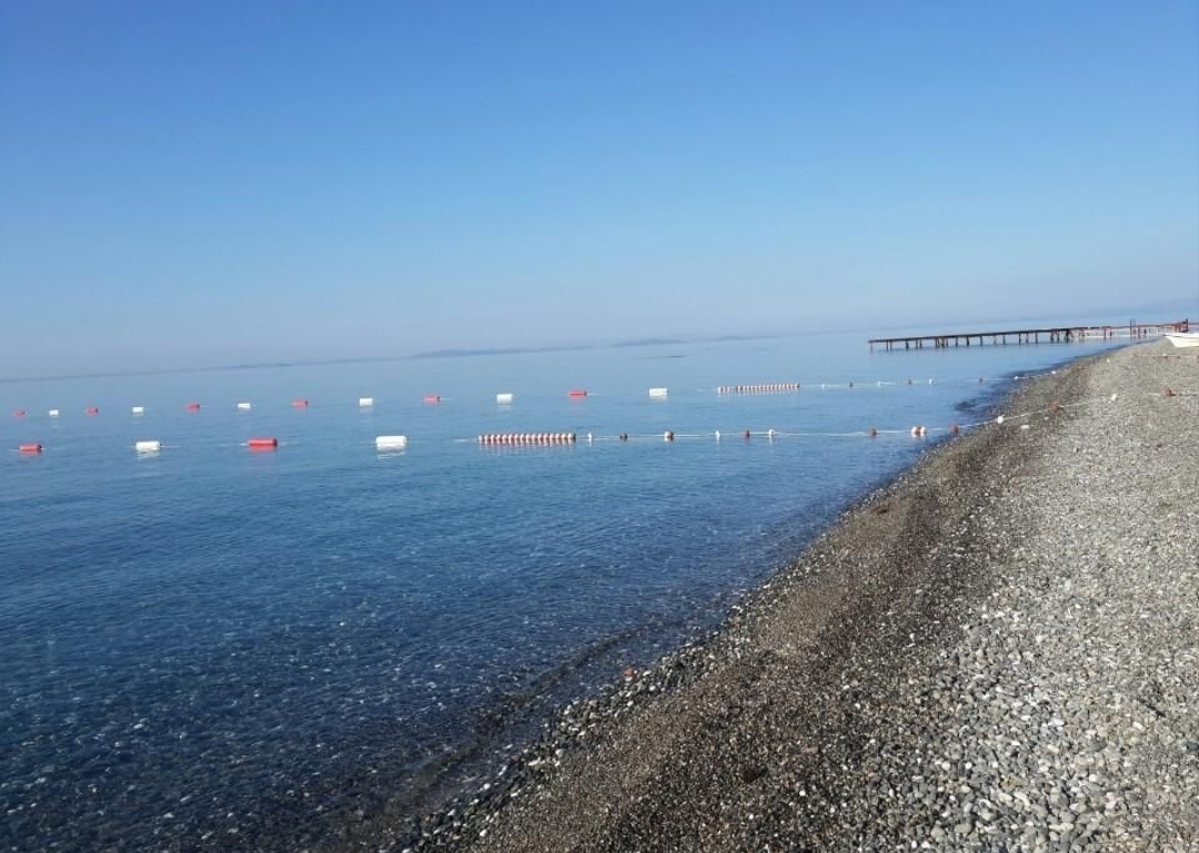 Antandros beach的照片 带有长直海岸