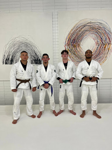 Art of Jiu Jitsu Academy image