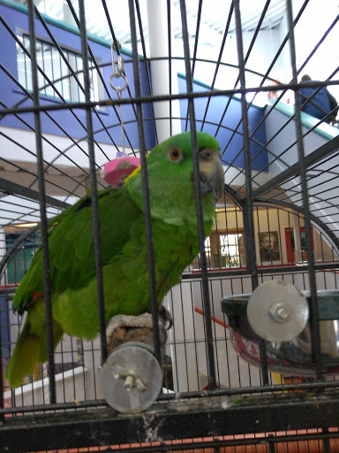 Learning Center «Imagine Nation Museum Early Learning Center», reviews and photos, 1 Pleasant St, Bristol, CT 06010, USA