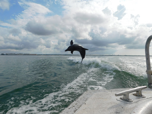 Boat Tour Agency «Dolphin Snorkeling Cruise», reviews and photos, 4630 29th Ave S, Gulfport, FL 33711, USA