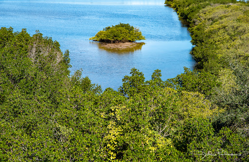 Nature Preserve «Manatee Viewing Center», reviews and photos, 6990 Dickman Rd, Apollo Beach, FL 33572, USA