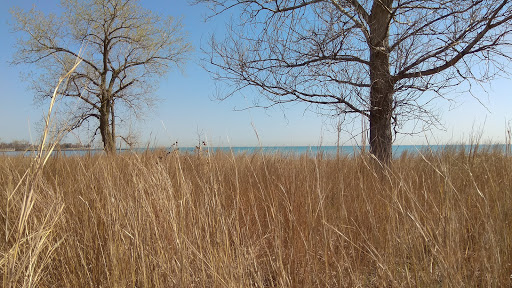 Golf Course «Jackson Park Golf Course», reviews and photos, 6401 S Richards Dr, Chicago, IL 60649, USA