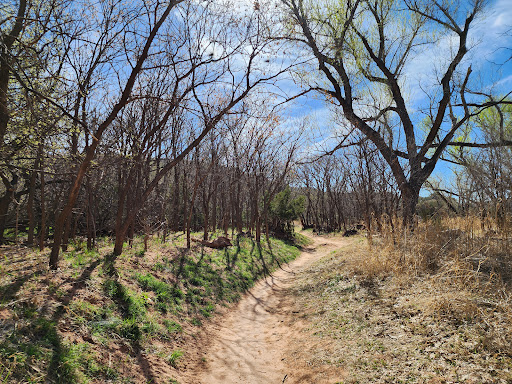 Paseo Del Rio Trailhead