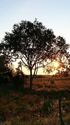 Campground «Cooperstown KOA», reviews and photos, 565 Ostrander Rd, Richfield Springs, NY 13439, USA