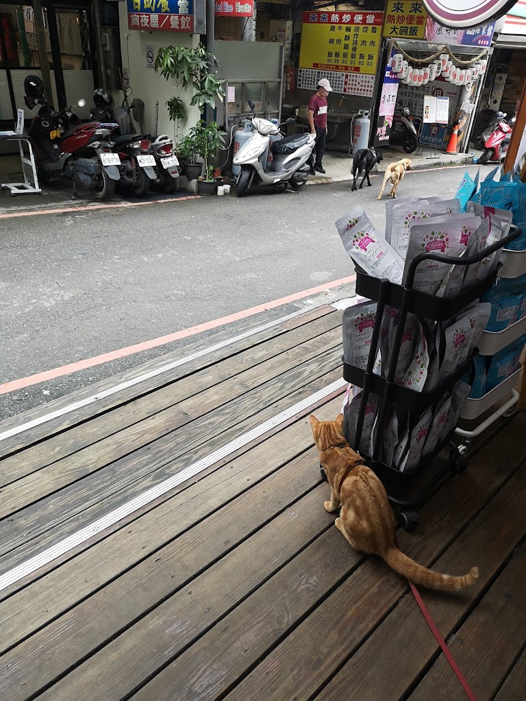 Master Of Tea 花茶大師中壢中原店 的照片