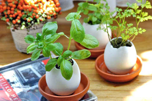 Gift Shop «Madison Modern Market», reviews and photos, 310 State St, Madison, WI 53703, USA