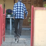 Photo n°6 de l'avis de Franca.o fait le 18/05/2023 à 12:37 sur le  Pit Stop Bar Ristoro Pizzeria à Albacina-Borgo Tufico