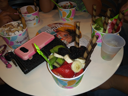 Frozen Yogurt Shop «Yogurtland», reviews and photos, 4170 Lavon Dr #176, Garland, TX 75040, USA