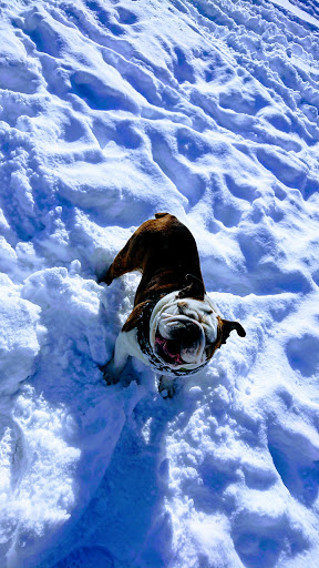 Park «Benedict Fountain Park», reviews and photos, 401 E 20th Ave, Denver, CO 80205, USA