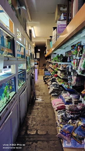 Tropical Fish Store «C K Fish World», reviews and photos, 410 N Azusa Ave, West Covina, CA 91791, USA