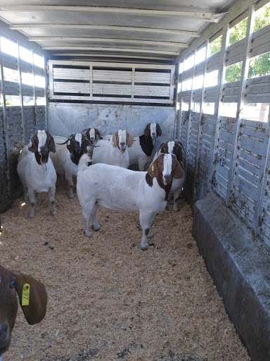 Home Improvement Store «Tractor Supply Co.», reviews and photos, 6881 Cameron Blvd, Gilroy, CA 95020, USA