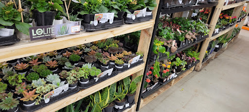 Home Improvement Store «The Home Depot», reviews and photos, 280 N Main St, Rochester, NH 03867, USA