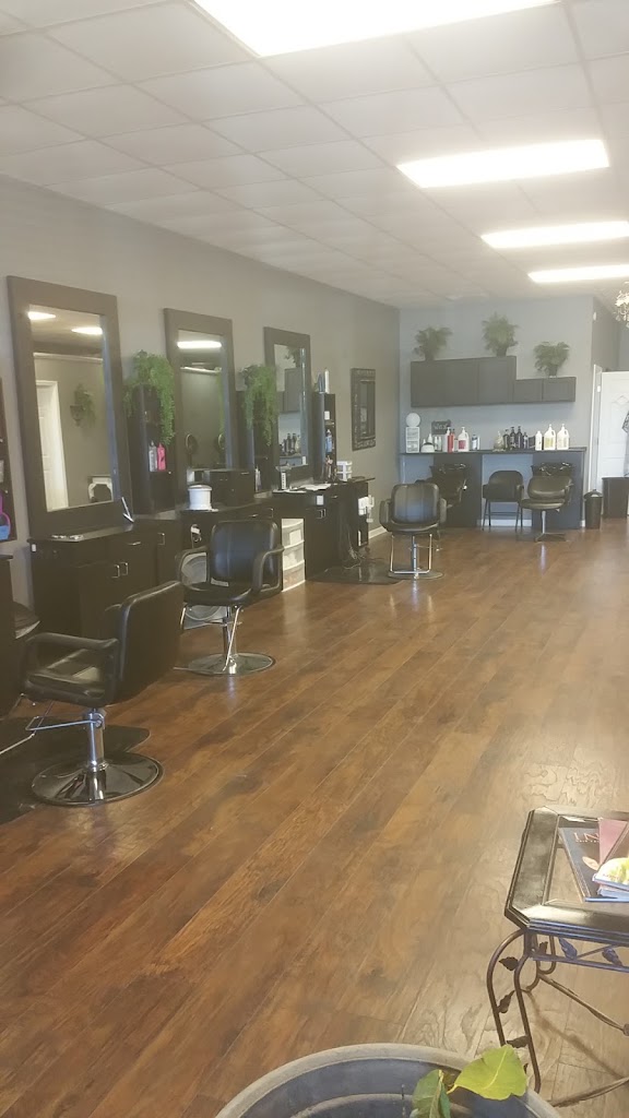 Salon Blitz 31008