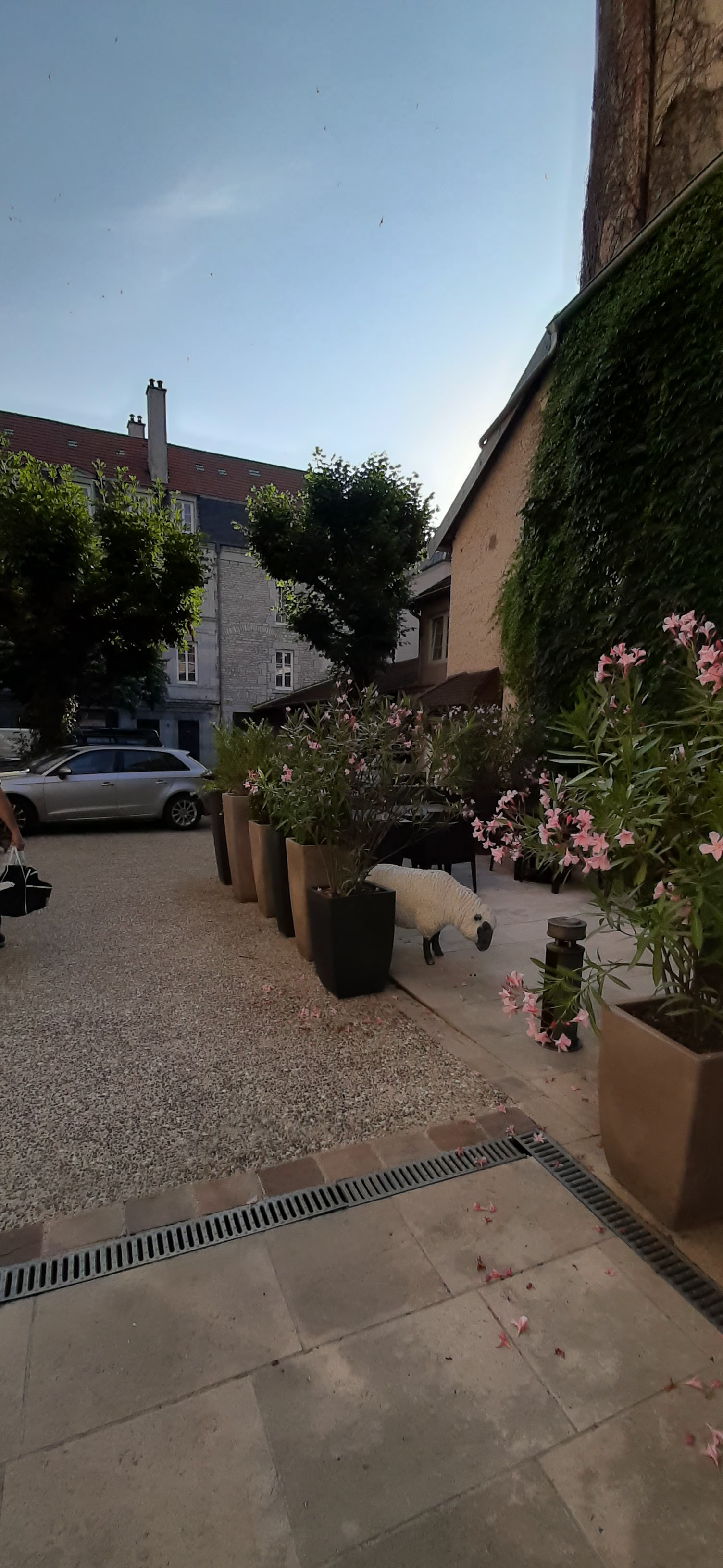 Photo n° 7 de l'avis de Aurore.a fait le 01/07/2020 à 12:38