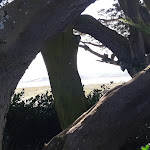 Photo n° 1 de l'avis de Colette.e fait le 15/09/2019 à 17:43 pour Jardin Georges Delaselle à Île-de-Batz