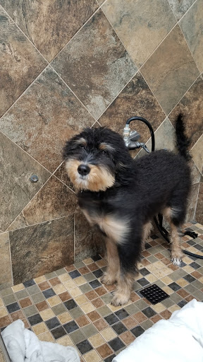 Pet Store «Pet Valu», reviews and photos, 4581 Austin Blvd, Island Park, NY 11558, USA