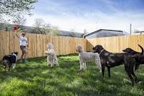 Aarf Pet Care - Photo 2 - Car repair in Salt Lake City, UT, Salt Lake City